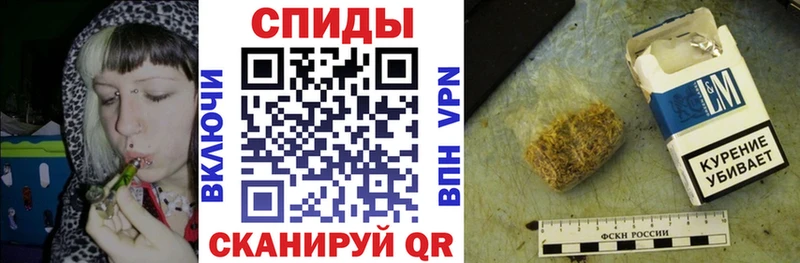 мориарти какой сайт Мичуринск Бутират буратино
