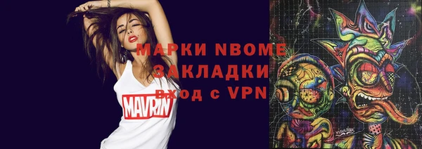 дживик Бородино