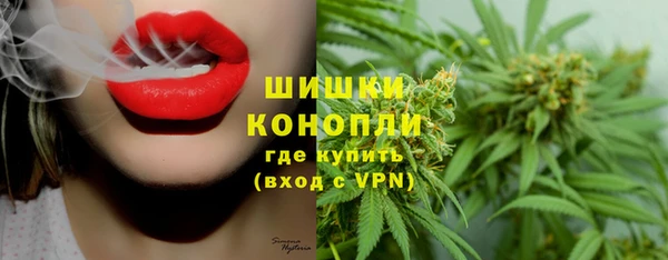 дмт Пестово
