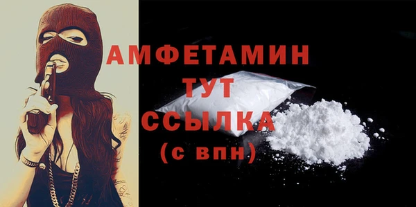 дживик Бородино