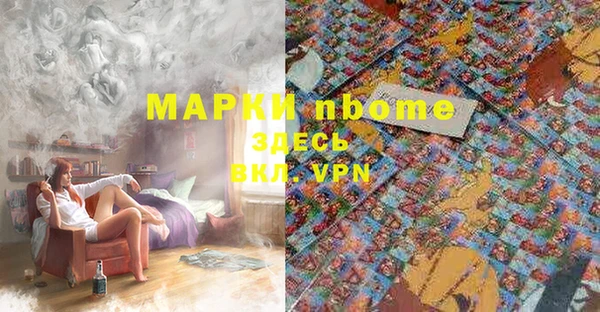 дживик Бородино