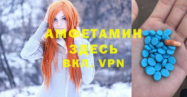 дживик Бородино