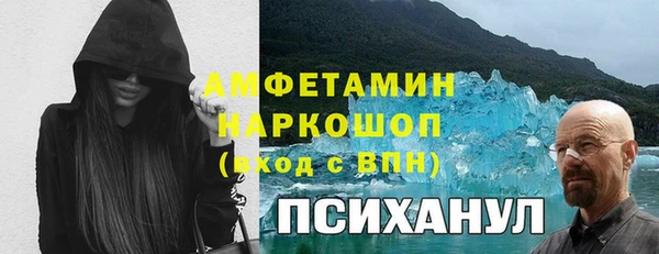 дживик Бородино