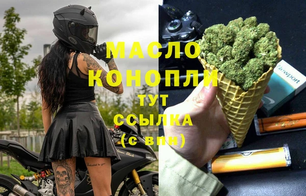 дживик Бородино