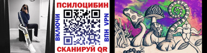 Галлюциногенные грибы ЛСД  цены наркотик  Мичуринск 